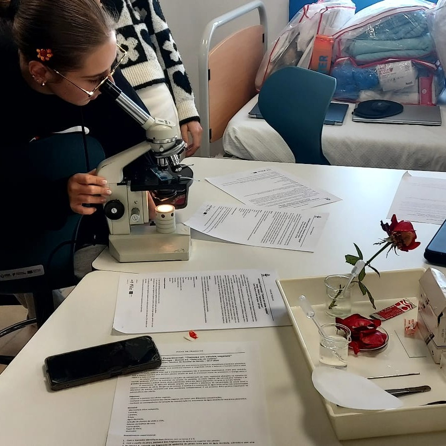 Alunos da ETPC Observam Fenómeno da Osmose em Biologia